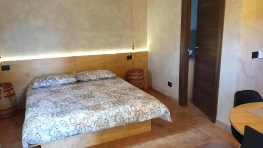 L'Antico Vigneto - 30