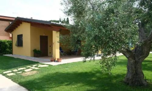 L'Antico Vigneto - 27