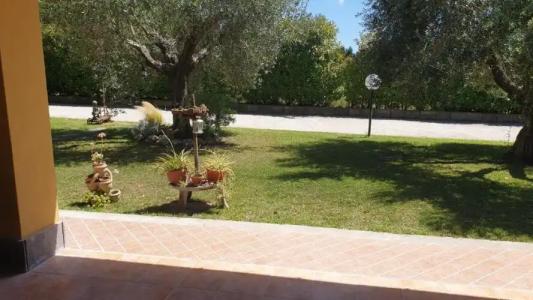 L'Antico Vigneto - 3