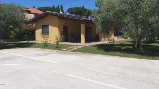 L'Antico Vigneto - 2