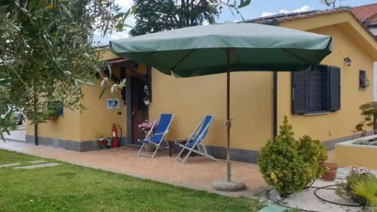 L'Antico Vigneto - 23