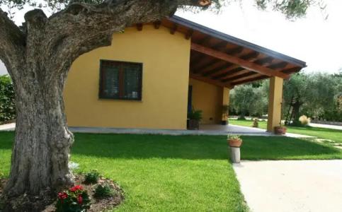 L'Antico Vigneto - 26