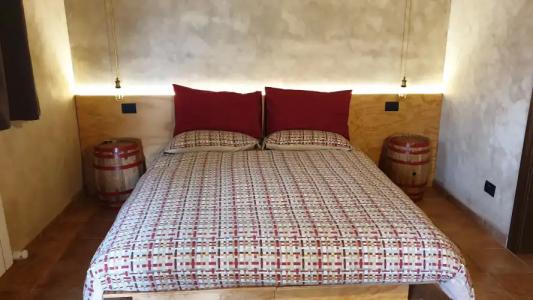 L'Antico Vigneto - 7