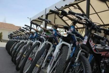 Eight Lakes Park Resort - 7