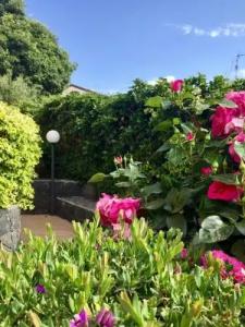 Etna Royal View - 44