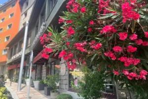 Apartaments Turístics Conseller, Andorra La Vella