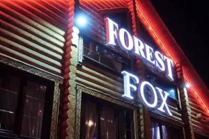 Forest & Fox Mini-hotel, Tula