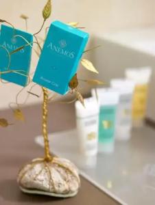 Anemos Luxury Grand Resort - 79