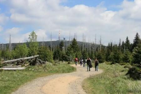 WaldAchtermannstor - 14