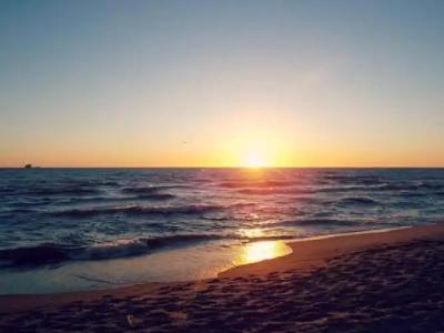 SunKiss - 7