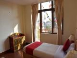 Deluxe Double room with garden view