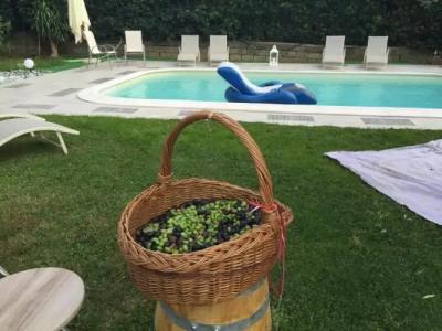 Fiordisole Holiday Home - 18