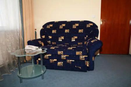 Спутник - 133