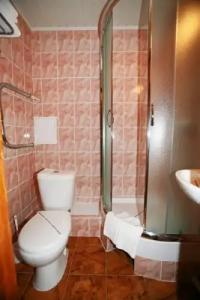 Спутник - 105