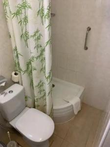 Спутник - 113