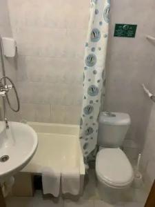 Спутник - 120