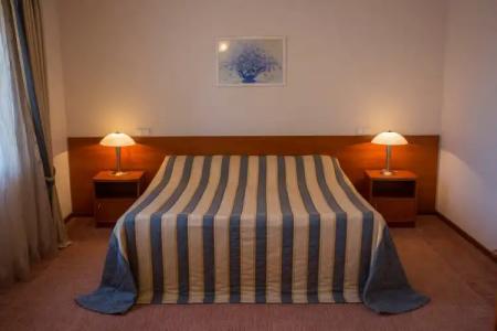 Спутник - 131