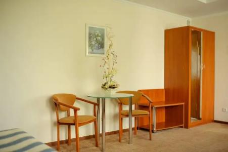 Спутник - 132