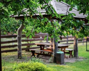 Усадьба Рыньковка - 38