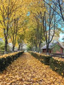 Усадьба Рыньковка - 11