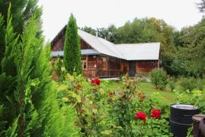 Olhovo Guest House, Vawkavysk