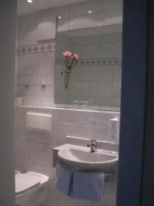 Hotel-Restaurant Schwedi - 3