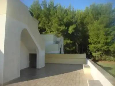 Agriturismo Santa Maria Della Lizza - 4