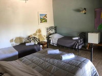 Roba Degli Ulivi - 1