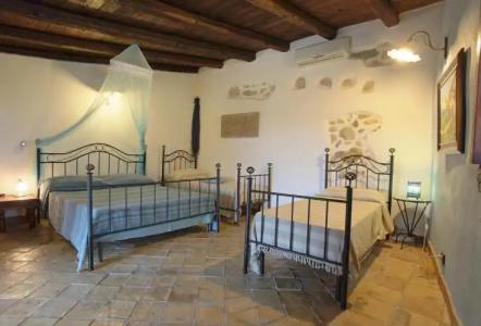 Roba Degli Ulivi - 41