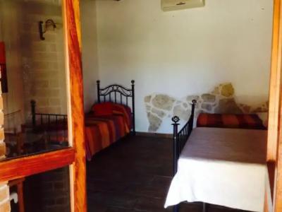 Roba Degli Ulivi - 33