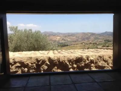 Roba Degli Ulivi - 55