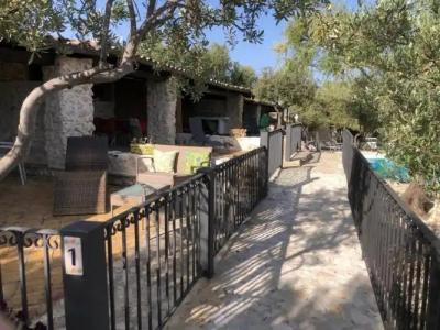 Roba Degli Ulivi - 32