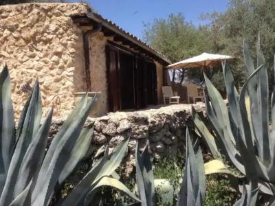 Roba Degli Ulivi - 12