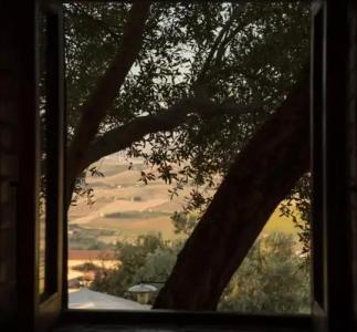 Roba Degli Ulivi - 42