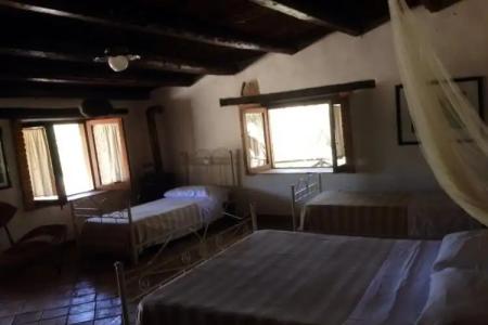 Roba Degli Ulivi - 0