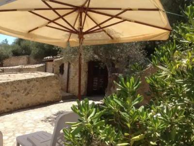 Roba Degli Ulivi - 56