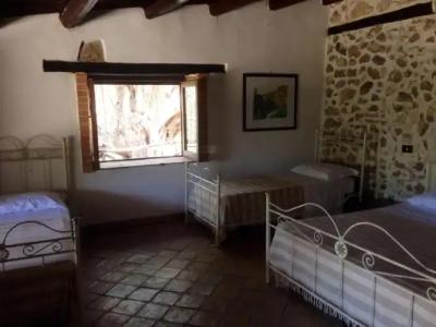 Roba Degli Ulivi - 2