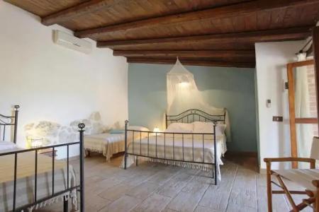 Roba Degli Ulivi - 43