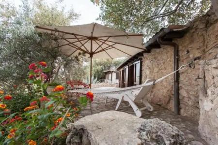 Roba Degli Ulivi - 26