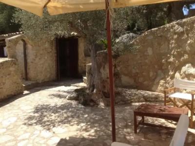 Roba Degli Ulivi - 54