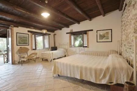 Roba Degli Ulivi - 44