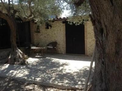 Roba Degli Ulivi - 62