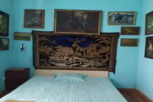 Vilni Kimnaty Guest house, Mukacheve