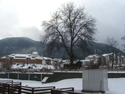 Mountain View Aparthotel - 0