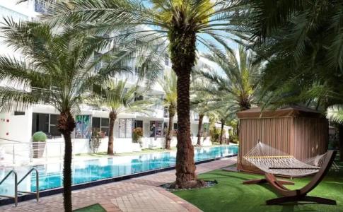 National, An Adult Only Oceanfront Resort - 17