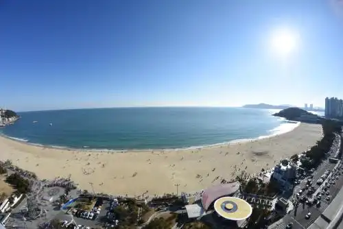 MS Haeundae - 117