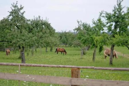 Bayerisch Meran - 20