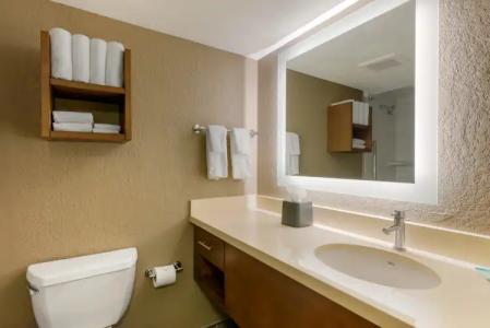 Staybridge Suites ORLANDO ROYALE PARC SUITES by IHG - 40