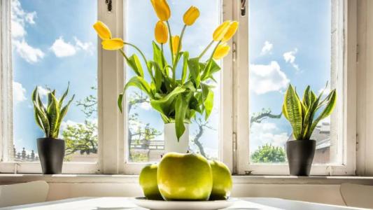 Flamingo Premium Hostel - 4