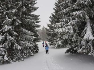 Bad Rain Mit Oberstaufen PlusGolf - 18